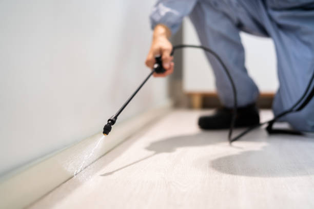 Bed Bug Pre-Treatment Preparation Assessment in St. Augustine South