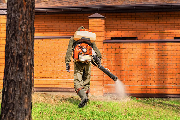 Bed Bug Clearance Verification and Documentation in St. Augustine South